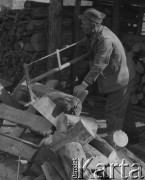 1942-1944, Deiswil, Szwajcaria. 
Internowany żołnierz 2. Dywizji Strzelców Pieszych pracuje u szwajcarskiego rolnika. Na zdjęciu mężczyzna piłuje drewno.
Fot. Jerzy Konrad Maciejewski, zbiory Ośrodka KARTA