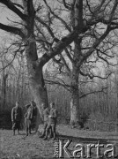 1940, La Salle Guibert, Francja.  
Żołnierze z 2. Dywizji Strzelców Pieszych odpoczywają pod drzewem. 
Fot. Jerzy Konrad Maciejewski, zbiory Ośrodka KARTA