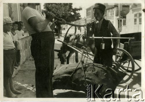 Lata 30., prawdopodobnie Bułgaria.
Dwaj mężczyźni trzymają drewniany pałąk, na którym jest zaczepiony na łańcuchach ciężki worek. Z tyłu za nimi stoi wóz zaprzęgnięty w osła. 
Fot. Jerzy Konrad Maciejewski, zbiory Ośrodka KARTA