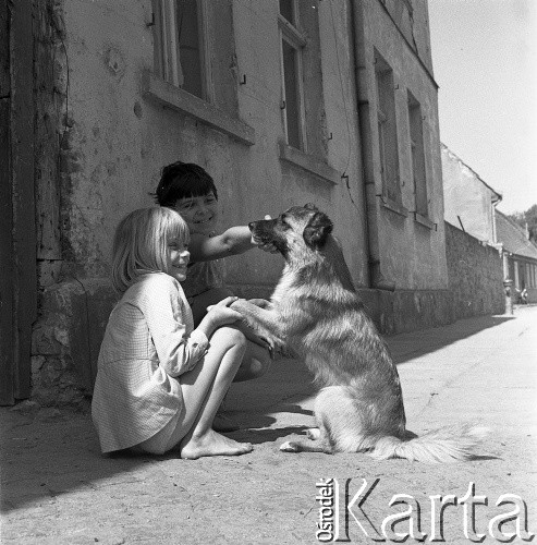 Lata 60.-70. Polska.
Zabawa z psem.
Fot. Maciej Jasiecki, zbiory Ośrodka KARTA