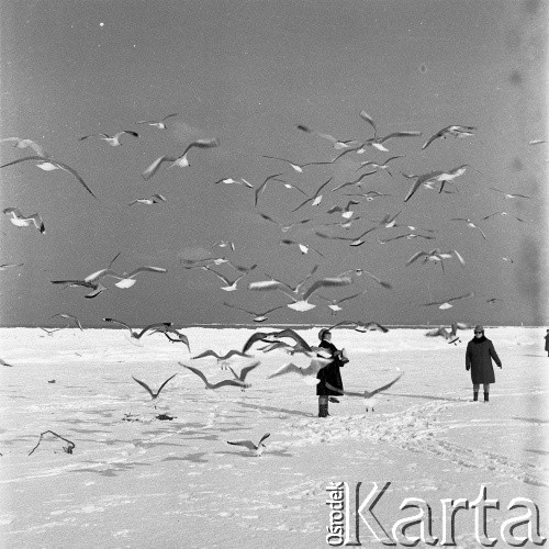 Lata 60.-70., Polska.
Zima na plaży.
Fot. Maciej Jasiecki, Fundacja Ośrodka KARTA