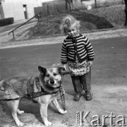 Lata 60.-70., Szczecin, Polska.
Dziecko z psem.
Fot. Maciej Jasiecki, Fundacja Ośrodka KARTA