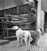 1972, Kopenhaga, Dania.
Mężczyzna przed witryną sklepową. Zdjęcie zrobione w czasie rejsu MS Jedność Robotnicza.
Fot. Maciej Jasiecki, zbiory Ośrodka KARTA