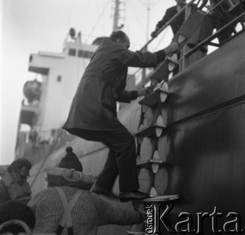 Lata 70., brak miejsca.
Powrót z lądu, mężczyzna wspina sią na burtę MS Bieszczady.
Fot. Maciej Jasiecki, zbiory Ośrodka KARTA