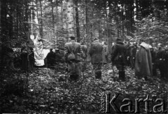 11.11.1943, Szczytniak, Góry Świętokrzyskie.
Zgrupowania Partyzanckie AK 