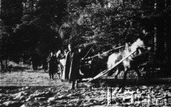 1939-1945, brak miejsca.
Partyzanci, tabor w przemarszu.
Fot. NN, kolekcja Cezarego Chlebowskiego, zbiory Ośrodka KARTA