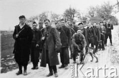 1944, brak miejsca.
Część 4 Kompanii I Batalionu 2 Pułku Piechoty Legionów Armii Krajowej.
Fot. Feliks Konderko ps. 