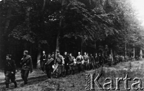 Druga połowa 1943, Góry Świętokrzyskie.
Zgrupowania Partyzanckie AK 