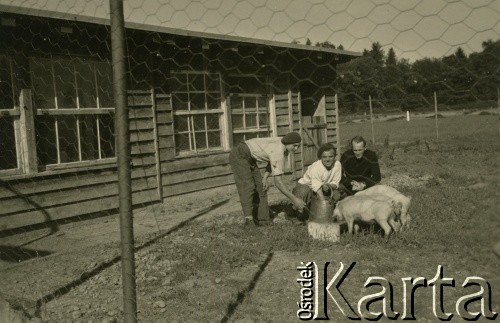 1941, Pfäffikon, Szwajcaria.
Żołnierze 6. Kresowego Pułku Strzelców Pieszych podczas dokarmiania świń w zagrodzie obozowej.
Fot. NN, zbiory Ośrodka KARTA, album przekazała Wanda Klenczon