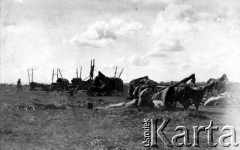 1919, Syberia, Rosja.
Tabory wojskowe (?).
Fot. Jarosław Okulicz-Kozaryn, zbiory Ośrodka KARTA