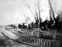 1914, wschodnia Małopolska.
Transport w strefie przyfrontowej.
Fot. Jarosław Okulicz-Kozaryn, zbiory Ośrodka KARTA.