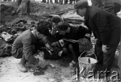 1945-1946, Warszawa, Polska.
Ekshumacja grobów.
Fot. NN, zbiory Ośrodka KARTA