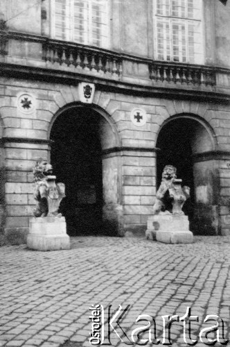 1918-1939, Lwów, Polska.
Lwy przed wejściem do Ratusza.
Fot. Adolf Matyka, zbiory Ośrodka Karta, udostepnił Leon Pawłowski