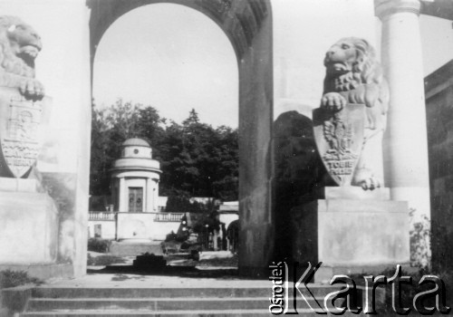 1918-1939, Lwów, Polska.
Lwy na cmentarzu Obronców Lwowa.
Fot. Adolf Matyka, zbiory Ośrodka Karta, udostepnił Leon Pawłowski
