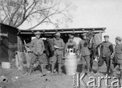 1919, Litwa.
5 pułk piechoty Legionów na Litwie, żołnierze z domowymi zwierzętami: dwa konie, pies, królik.
Fot. NN, zbiory Ośrodka KARTA, udostępnił Jacek 
Staszelis.

