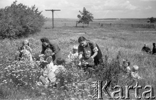 1949, Jędrzejów k/Grodkowa, Polska.
Obóz Społeczny dla dzieci, zabawa na łące.
Fot. Kazimierz Seko, zbiory Ośrodka KARTA
 
