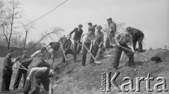 Maj 1949, Katowice, Polska.
ORMO na boisku Pogoni, prace społeczne.
Fot. Kazimierz Seko, zbiory Ośrodka KARTA
 
