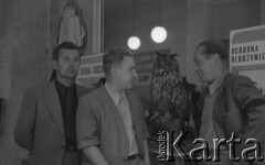 1951, Katowice, Polska.
Wystawa ochrony przyrody.
Fot. Kazimierz Seko, zbiory Ośrodka KARTA
