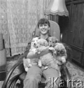 1981, brak miejsca, Śląsk, Polska.
Dziewczyna z czterema szczeniakami na kolanach siedzi w bujanym fotelu.
Fot. Kazimierz Seko, zbiory Ośrodka KARTA