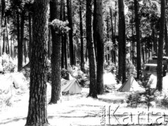 Lipiec 1962, okolice Augustowa, Polska.
Pole namiotowe w lesie pod Augustowem.
Fot. Jarosław Tarań, zbiory Ośrodka KARTA [62-85]

