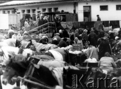 Listopad 1962, Warszawa, Polska.
Targowisko przy ul. Ludowej na Mokotowie.
Fot. Jarosław Tarań, zbiory Ośrodka KARTA [62-88]

