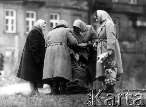 Listopad 1962, Warszawa, Polska.
Kobiety z zakupami przy ulicznej handlarce.
Fot. Jarosław Tarań, zbiory Ośrodka KARTA [62-88]


