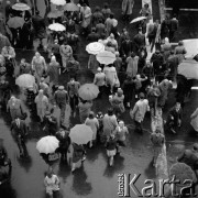 14.06.1965, Warszawa, Polska.
Tłum uliczny z parasolami w czasie deszczu.
Fot. Jarosław Tarań, zbiory Ośrodka KARTA [65-76]
 
