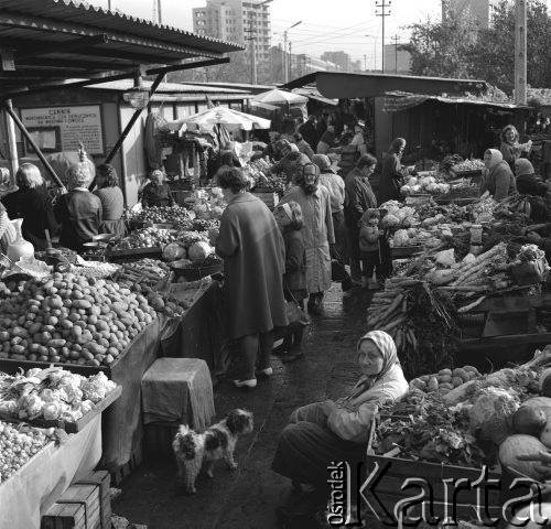 20.11.1967, Warszawa, Polska.
Bazar na ul. Polnej.
Fot. Jarosław Tarań, zbiory Ośrodka KARTA [67-38]
 
