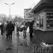 13.12.1969, Warszawa, Polska.
Z koniem po zakupy, happening.
Fot. Jarosław Tarań, zbiory Ośrodka KARTA [69-426]
 
