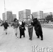29.05.1970, Warszawa, Polska.
 Cyrk radziecki, niedźwiedzie na spacerze.
 Fot. Jarosław Tarań, zbiory Ośrodka KARTA [70-9]
   
