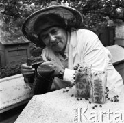 25.07.1970, Polska
 Pszczoły Władysława Grabowskiego.
 Fot. Jarosław Tarań, zbiory Ośrodka KARTA [70-187]
   
