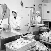 Marzec 1970, Polska
 Centrala Rybna, pracownice krojące mrożone filety.
 Fot. Jarosław Tarań, zbiory Ośrodka KARTA [70-185]
   
