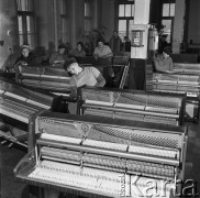 Styczeń 1971, Legnica, Polska
 Fabryka pianin, hala produkcyjna.
 Fot. Jarosław Tarań, zbiory Ośrodka KARTA [71-48]
   

