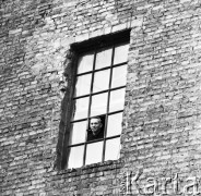Wrzesień 1971, Polska
Mężczyzna z fajką w oknie.
Fot. Jarosław Tarań, zbiory Ośrodka KARTA [71-62]
 
