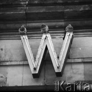 Październik 1971,Warszawa, Polska.
 Gołębie siedzące na literach neonu.
 Fot. Jarosław Tarań, zbiory Ośrodka KARTA [71-76]
   
