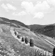 Maj 1971, Pieniny, Polska
 Panorama gór, stogi siana na łące.
 Fot. Jarosław Tarań, zbiory Ośrodka KARTA [71-145]
   

