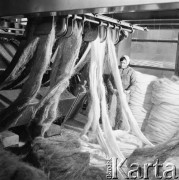 Kwiecień 1971, Bielsko Biała, Polska
 Bielska Fabryka Lin, hala produkcyjna.
 Fot. Jarosław Tarań, zbiory Ośrodka KARTA [71-111]
   
