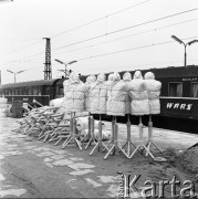 2.07.1972, Warszawa, Polska.
Manekiny na peronie dworca kolejowego.
Fot. Jarosław Tarań, zbiory Ośrodka KARTA [72-10]
 
