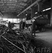 17.03.1972, Warszawa, Polska.
Fabryka Domów.
Fot. Jarosław Tarań, zbiory Ośrodka KARTA [72-49]
 
