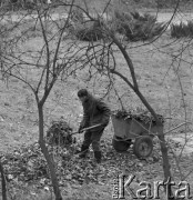 15.11.1972, Warszawa, Polska.
Sprzątanie parku.
Fot. Jarosław Tarań, zbiory Ośrodka KARTA [72-133]
 
