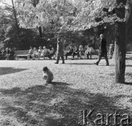 9.10.1972, Warszawa, Polska.
 Łazienki jesienią.
 Fot. Jarosław Tarań, zbiory Ośrodka KARTA [72-204]
   
