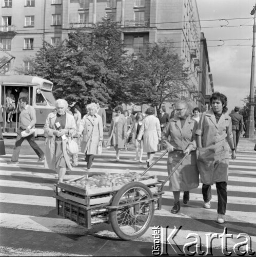 18.09.1973, Warszawa, Polska.
 Ulica Marszałkowska, przejście dla pieszych - sprzedawczynie z owocami na wózku.
 Fot. Jarosław Tarań, zbiory Ośrodka KARTA [73-109]
   
