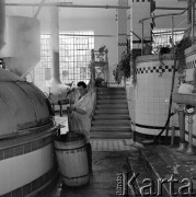 10.06.1973, Żywiec, Polska
 Browar - produkcja piwa.
 Fot. Jarosław Tarań, zbiory Ośrodka KARTA [73-144]
   
