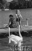 Sierpień 1975, Polska
Jezioro Białe, dziewczynka i łabędzie.
Fot. Jarosław Tarań, zbiory Ośrodka KARTA [75-175]
 
