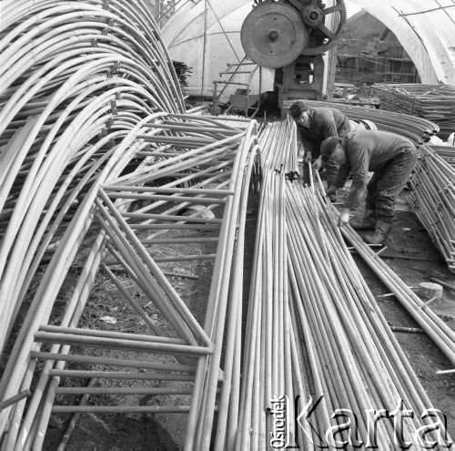 1975, Polska
Konstrukcje metalowe do budowy tuneli foliowych.
Fot. Jarosław Tarań, zbiory Ośrodka KARTA [75-218]
 
