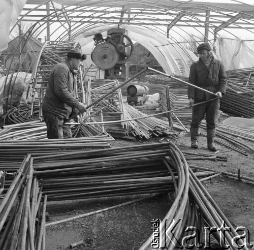 1975, Polska
Konstrukcje rurkowe do budowy tuneli foliowych.
Fot. Jarosław Tarań, zbiory Ośrodka KARTA [75-218]
 
