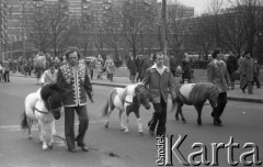 8.04.1977, Warszawa, Polska.
Cyrk 