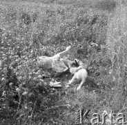 Lipiec 1977, Ostrowiec Świętokrzyski, Polska
Dziecko z psem na łące.
Fot. Jarosław Tarań, zbiory Ośrodka KARTA [77-100]