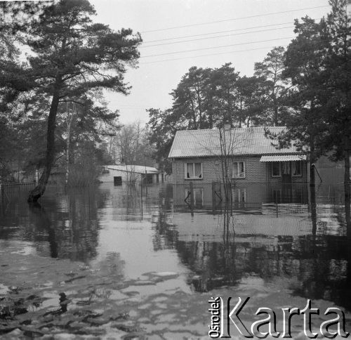 Marzec 1979, Wyszków okolice, woj. Ostrołęka, Polska.
Powódź - widok na podtopioną zabudowę mieszkalną oraz drzewa.
Fot. Jarosław Tarań, zbiory Ośrodka KARTA [79-23] 
