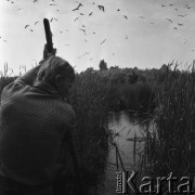 Maj 1983, Polska
Wyprawa na obrączkowanie mewy śmieszki.
Fot. Jarosław Tarań, zbiory Ośrodka KARTA [83-19]